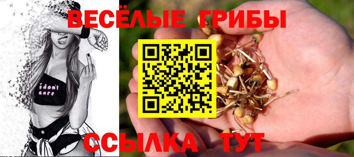Курск  Галлюциногенные грибы Psilocybine cubensis  Вход с VPN 